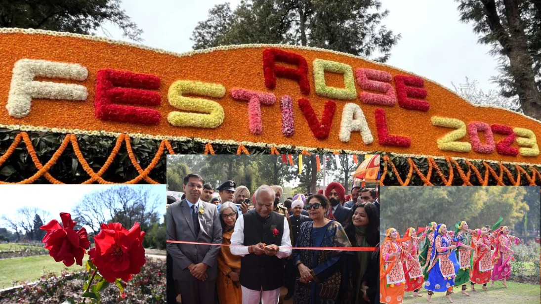 Rose Festival in Chandigarh