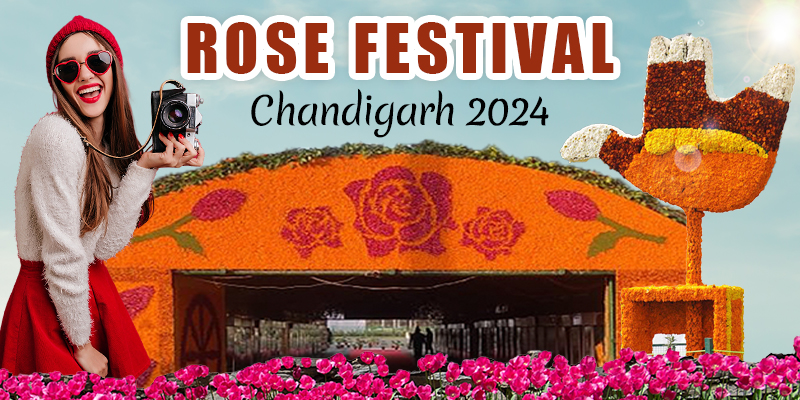 Rose Festival Chandigarh 2024